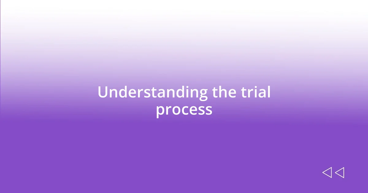 Understanding the trial process