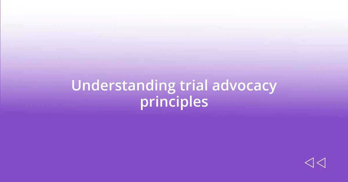 Understanding trial advocacy principles